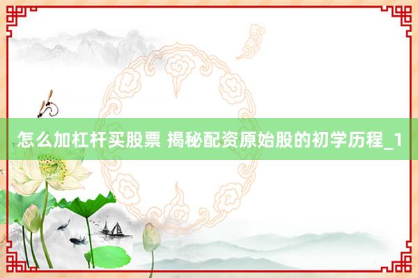 怎么加杠杆买股票 揭秘配资原始股的初学历程_1
